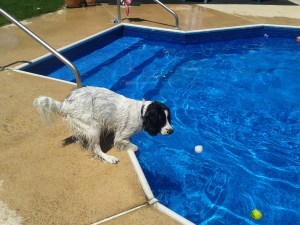 AJ at Grandma's Pool