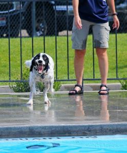 Crazy AJ at the pool