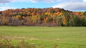 Vermont fall