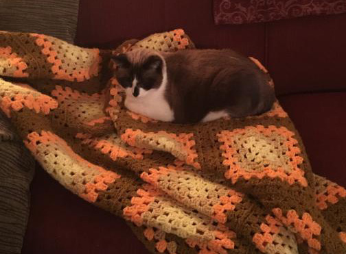 Betty on Grandma's blanket