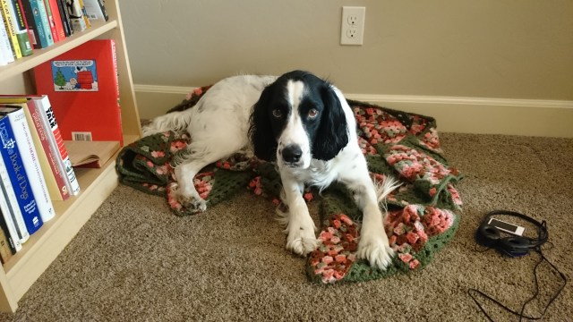 AJ on Grandma's blanket