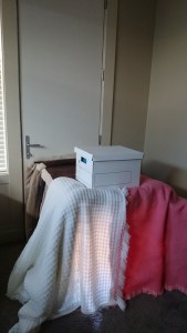 Insulated dog door entrance