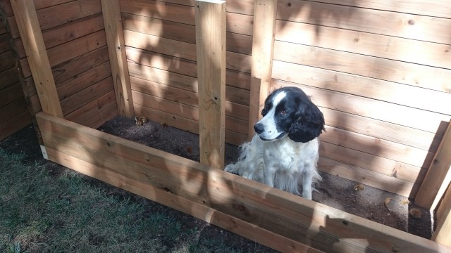 AJ in the planter box