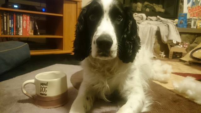 AJ at Christmas 2018